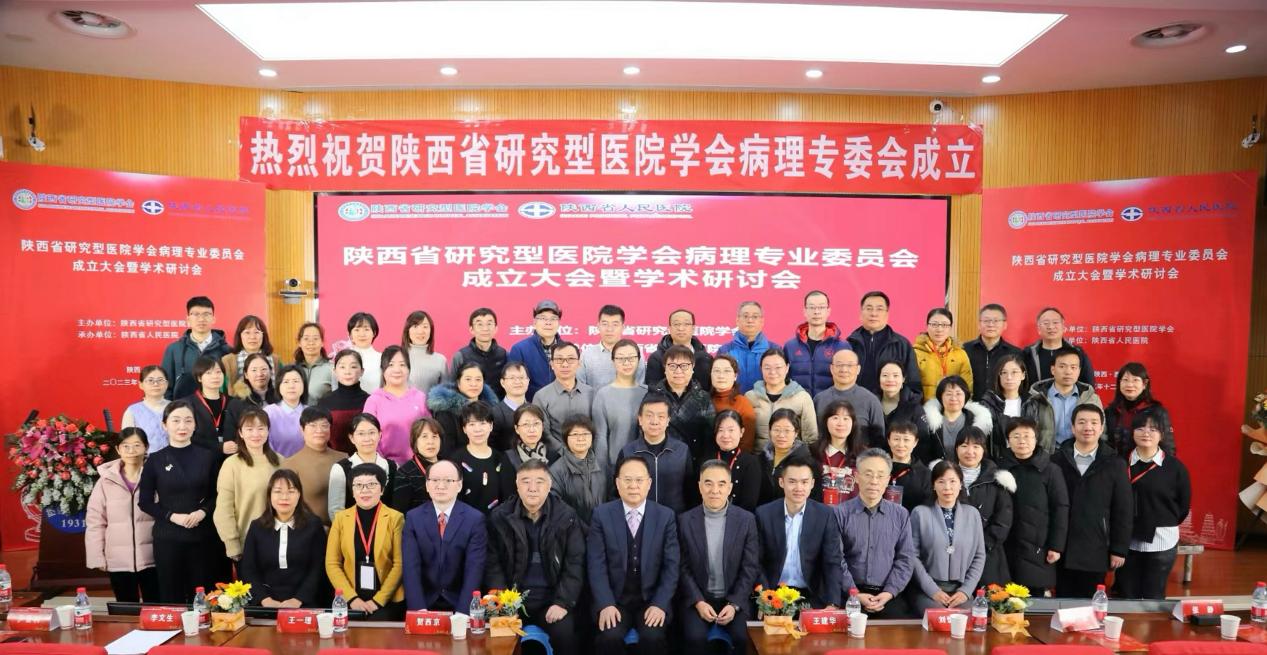 331d7076eca673c2881d1328710c3a3